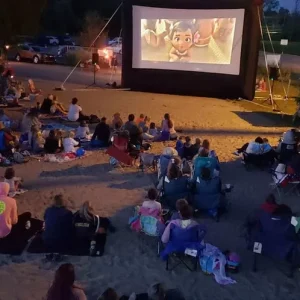 Elite Outdoor Movies Home 20' Inflatable Screen - view 9