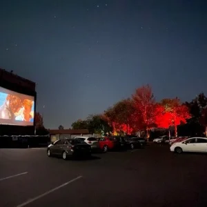Elite Outdoor Movies Platinum 32' Inflatable Screen - view 3