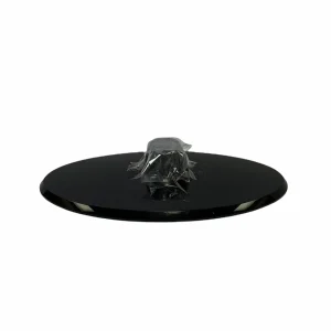 Samsung LN22C350D1D TV Stand/Base