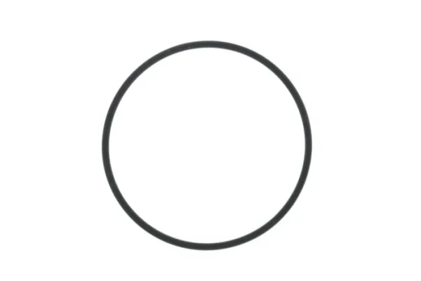 Samsung Galaxy Watch6 Classic Under-Bezel Sealing Rubber Ring – GH98-48369A