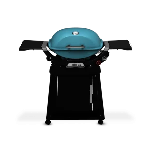 Q 2800N+ Gas Grill with Stand (Liquid Propane) – Sky Blue