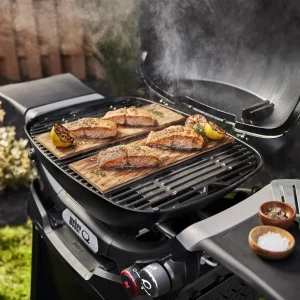 Q 2800N+ Gas Grill with Stand (Liquid Propane) – Charcoal Grey - view 2